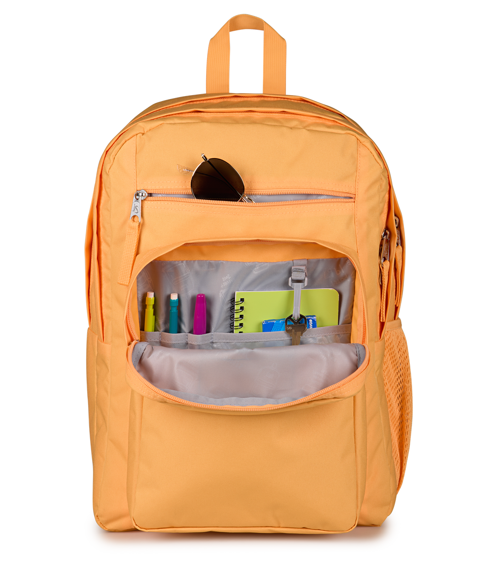 Big Student